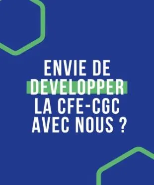 Développeur territorial